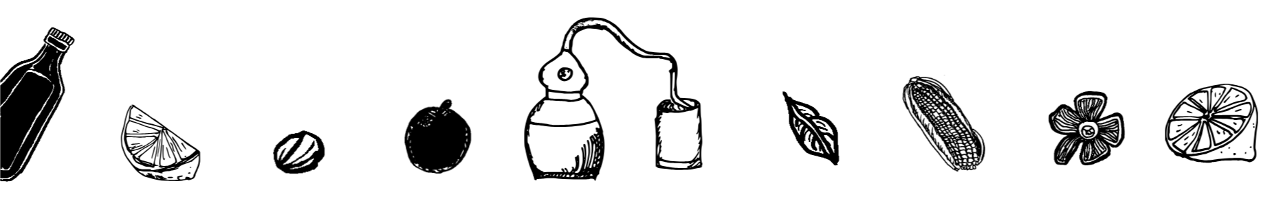 Desenhos de garrafa, frutas, alambique, cereais e ervas